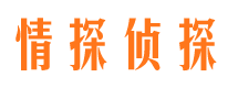 开阳情探私家侦探公司